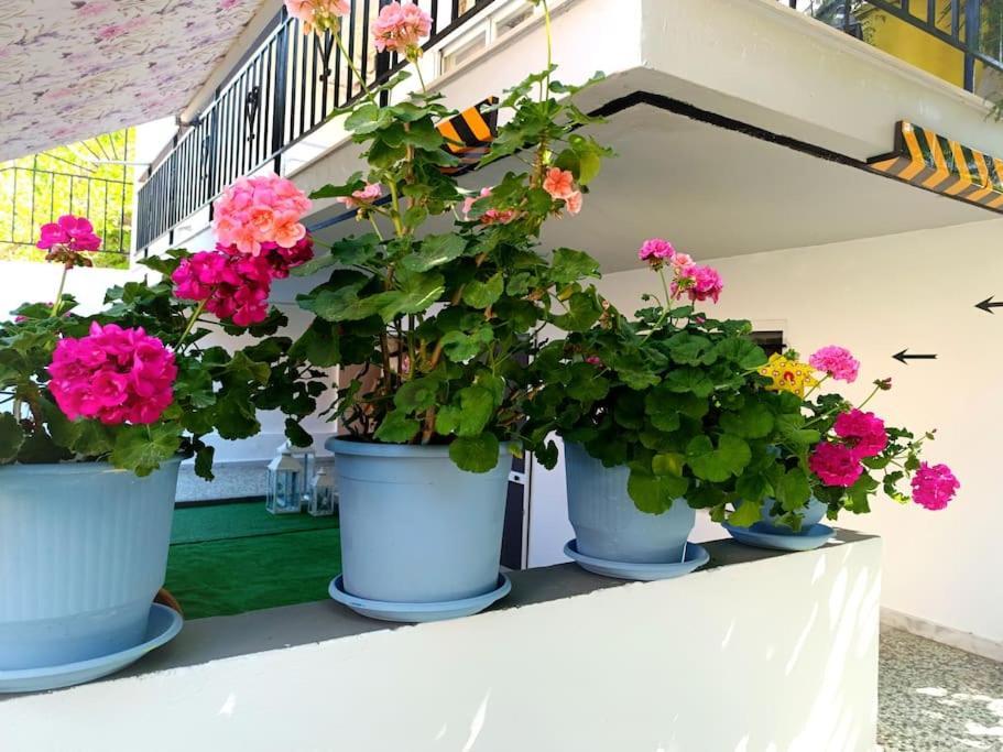 Sofia'S Home 9Min. Athens Airport Artemida  Exterior photo